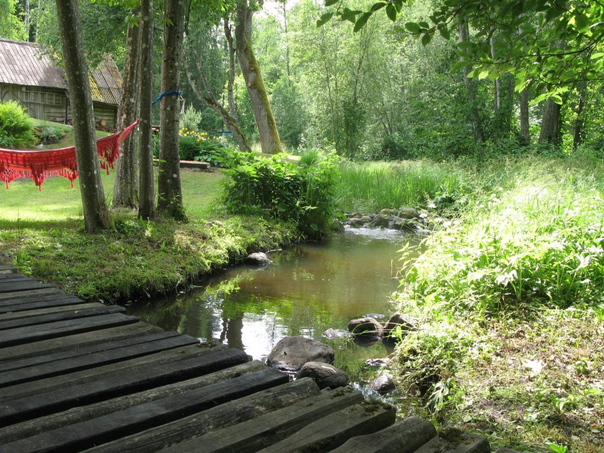 Latava Villa Anykščiai Buitenkant foto