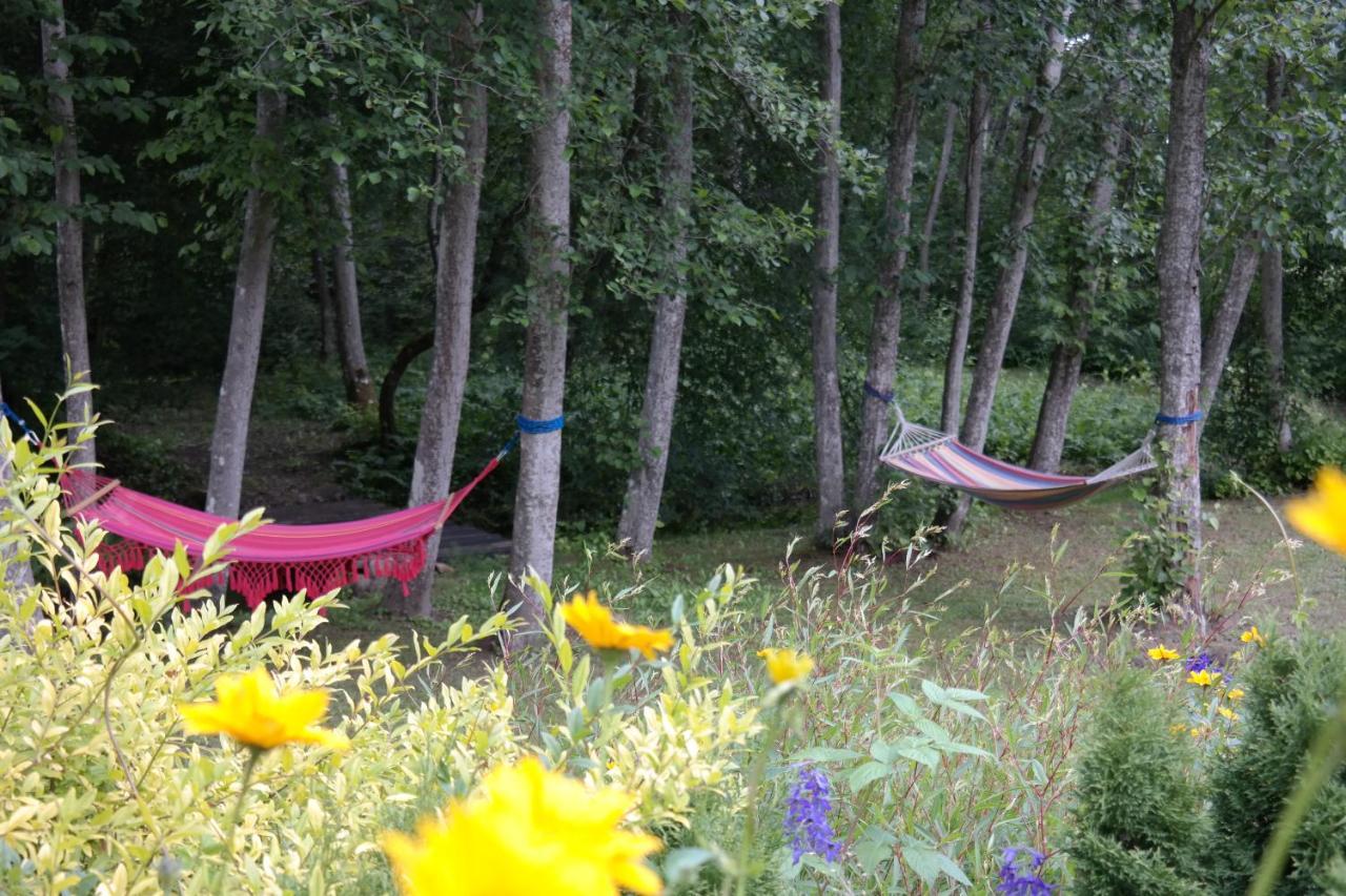 Latava Villa Anykščiai Buitenkant foto