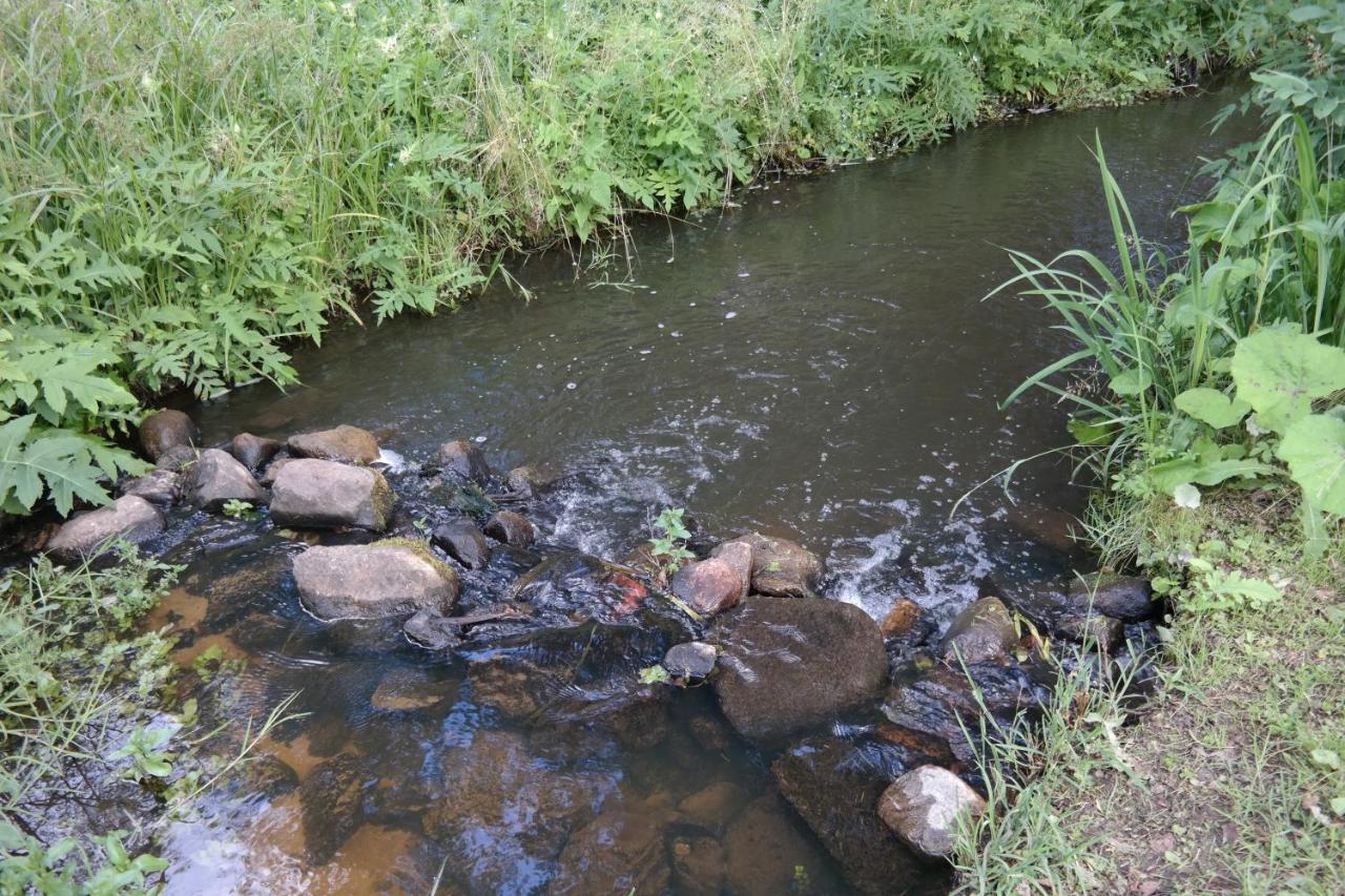 Latava Villa Anykščiai Buitenkant foto